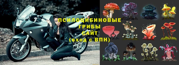 прущая мука Алексин