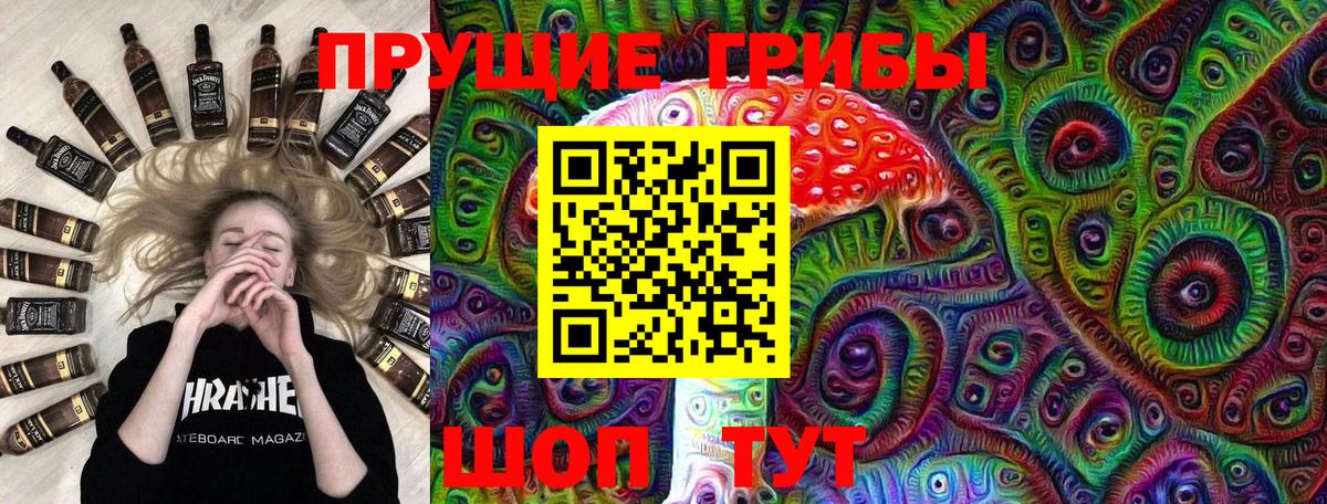 Владивосток  Галлюциногенные грибы Psilocybine cubensis  Галлюциногенные грибы Psilocybine cubensis  Вход с VPN 