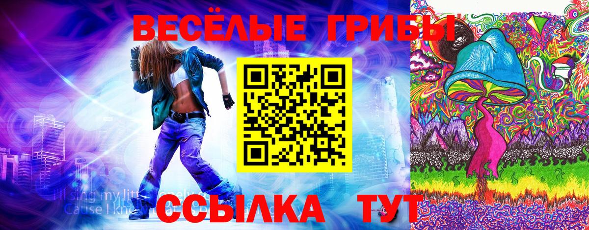 Псилоцибиновые грибы мицелий Владивосток